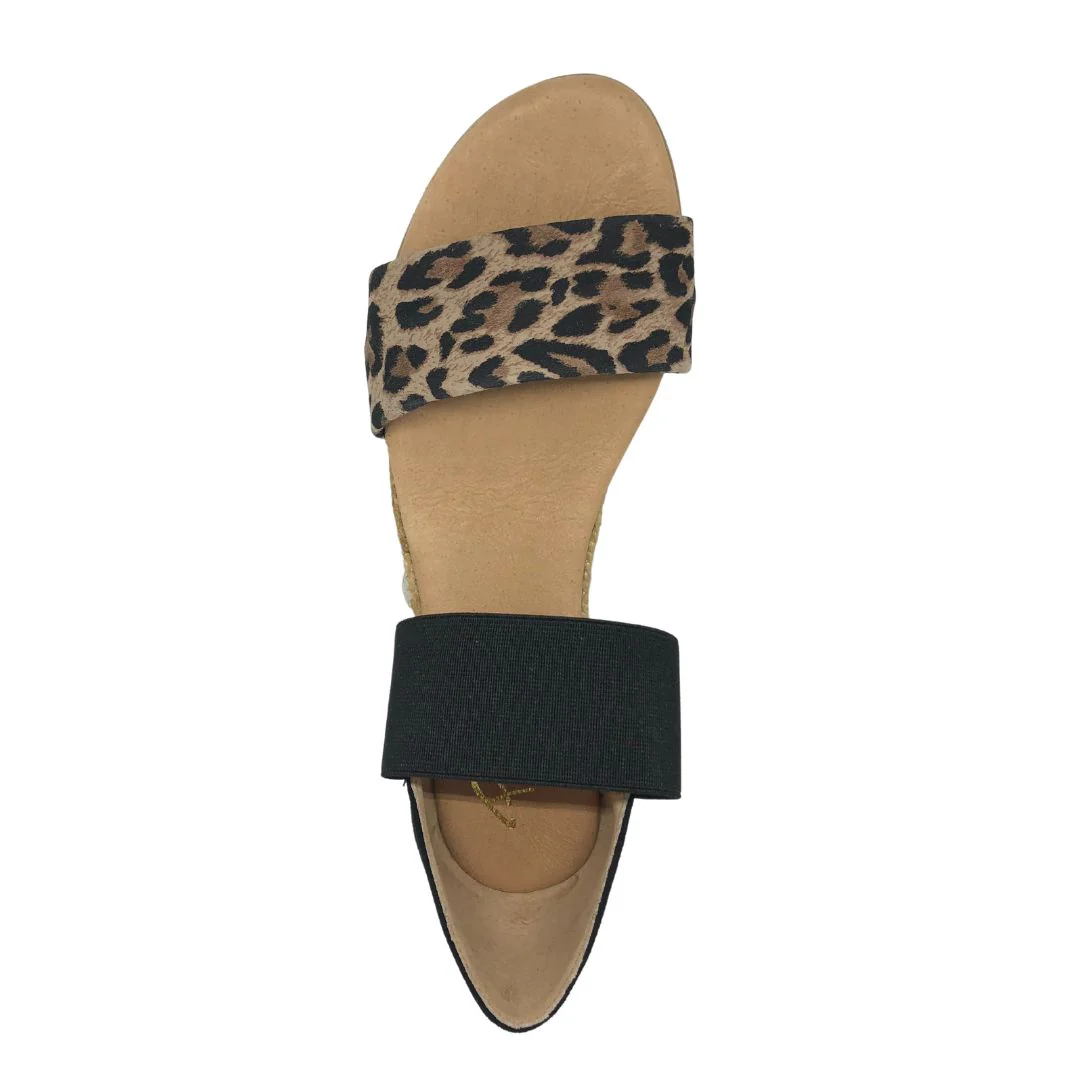 Pinaz 321 - Image 6